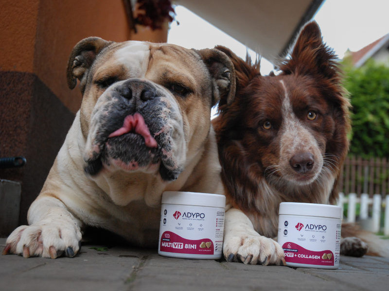 ADYPO KOMBO Úľava od svrbenia a alergie u psa