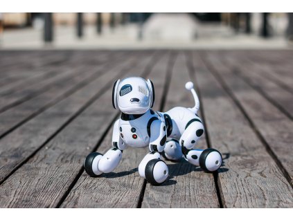 RC ROBOPES INTERAKTÍVNE OVLÁDANIE + DIAĽKOVÉ OVLÁDANIE (2 of 12)