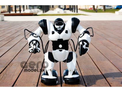 RC robot ROBONE