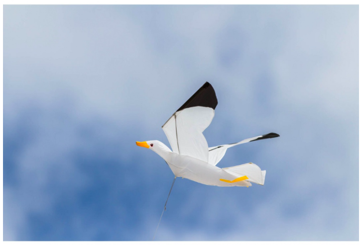 Sirály 3D 140x75 cm sárkány