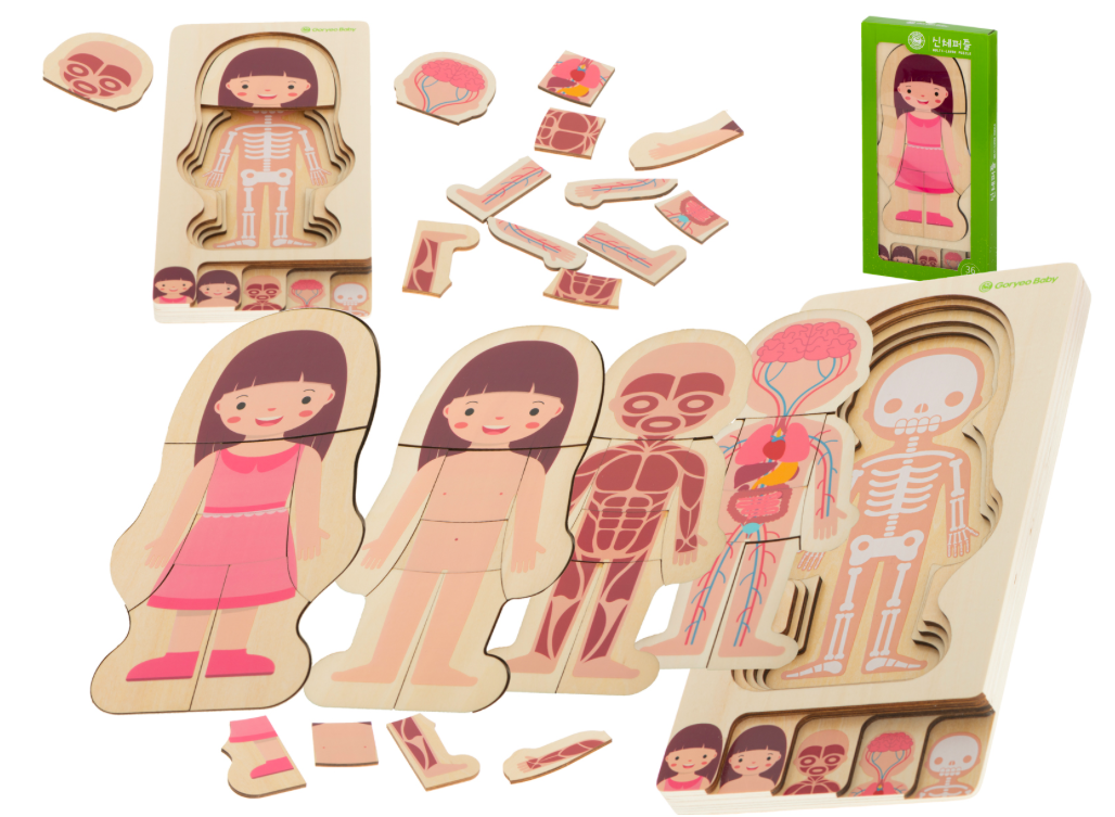 Fából készült Montessori puzzle testrészek - lány