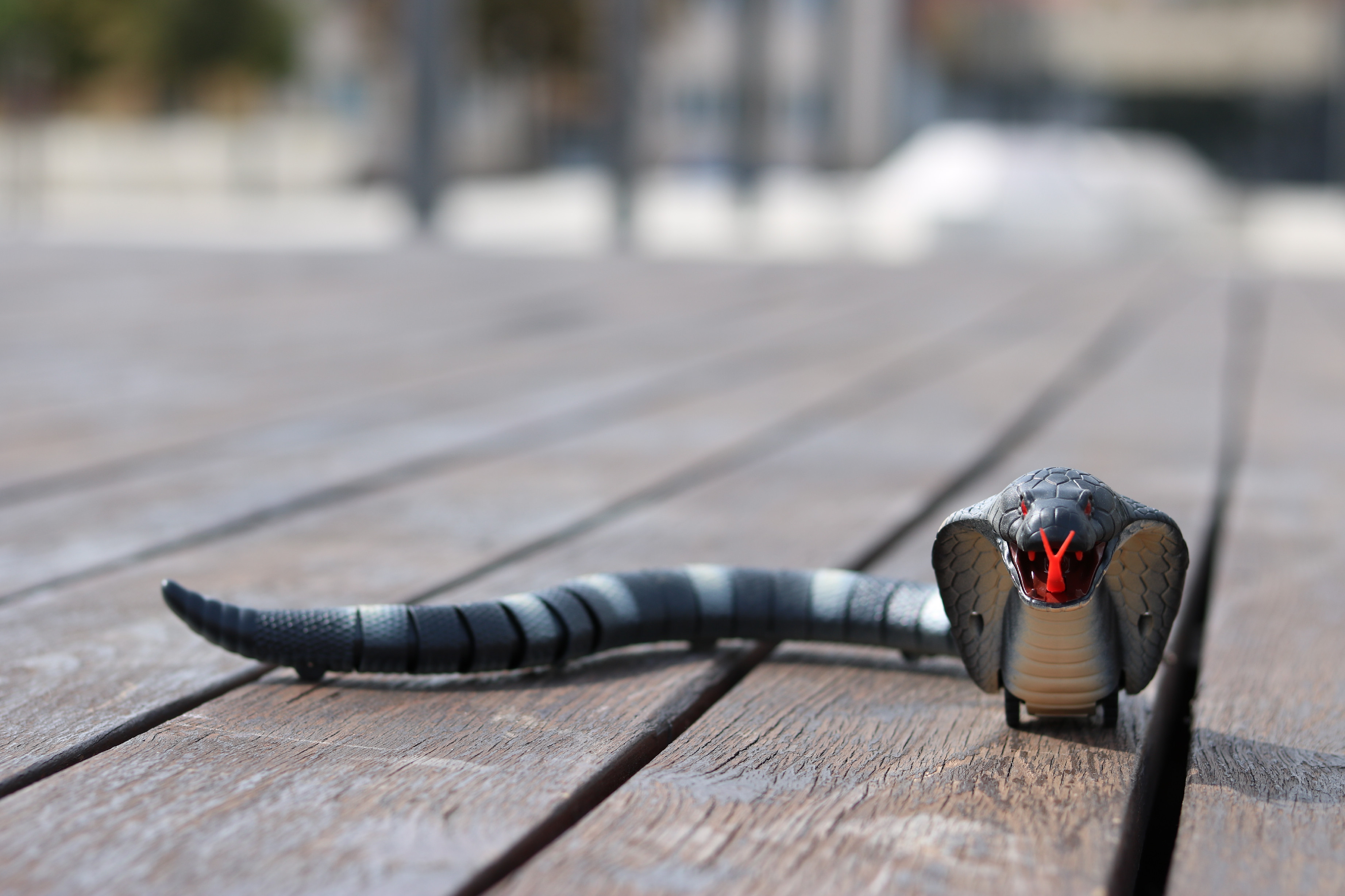 Távirányítható játék kobra