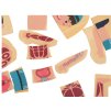 Fából készült Montessori puzzle testrészek - fiú