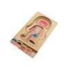Fából készült Montessori puzzle testrészek - fiú