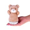 Éjszakai lámpa Teddy bear