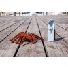 RC Távirányítós Tarantula