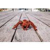 RC Távirányítós Tarantula