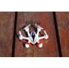 Sky Tracker - MINI RC HEXAKOPTER