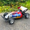 RHINO buggy R211 2wd 1:16, LED, 15km / h, RTR