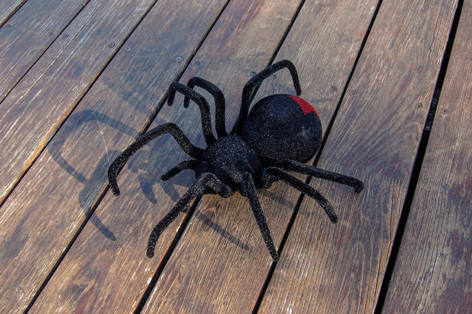 Cute Sunlight RC Black widow - pavúk na diaľkové ovládanie