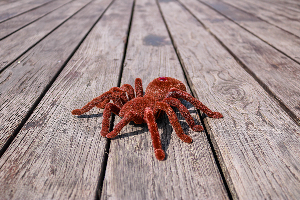RC Tarantula na diaľkové ovládanie