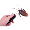 eng pl Remote controlled Cockroach Giant pilot RC0472 14422 2 (1)