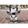RC robot ROBONE- rozbalené balenie