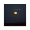 E-flite Night Timber X 1,2 m SAFE Select BNF Basic