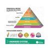 EN STEM902 8 4 11zon