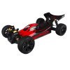 Brushless 4 Buggy