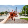 RC TARANTULA NA DIAĽKOVÉ OVLÁDANIE (12 of 19)