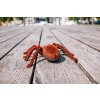 RC TARANTULA NA DIAĽKOVÉ OVLÁDANIE (8 of 19)