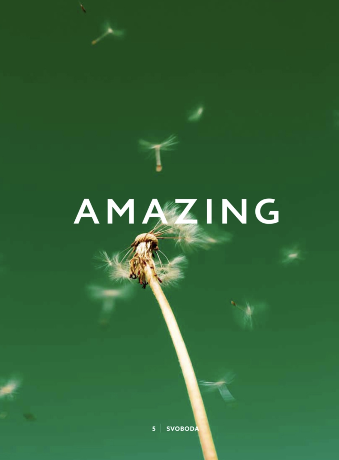 2022 - AMAZING 5 - Svoboda