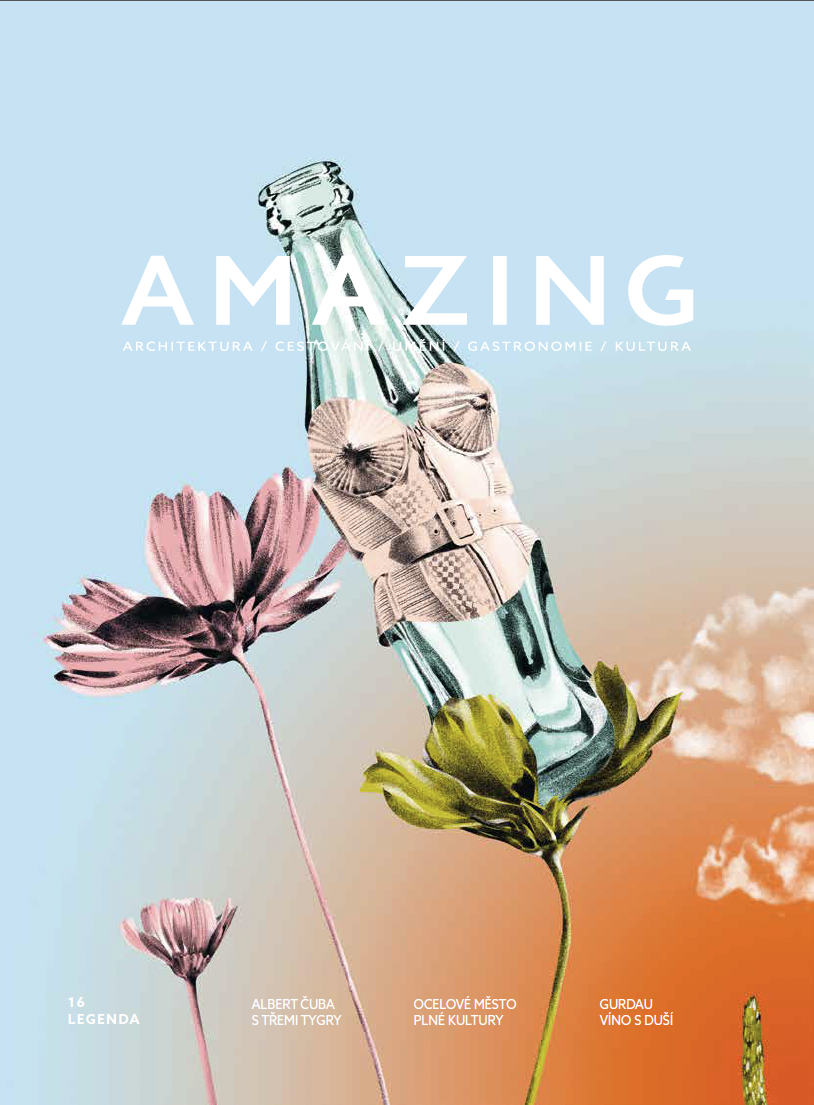 2025 - AMAZING 16 - Krása jednoduchosti