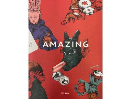 AMAZING 11 - ZIMA