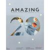 AMAZING 20 - Proměna
