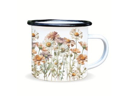 plecháček kopretiny