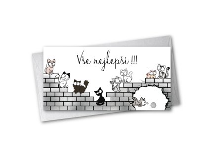 prani DL na penize kocicky