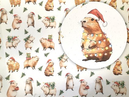 balici papir s kapybarou capybara vanocni