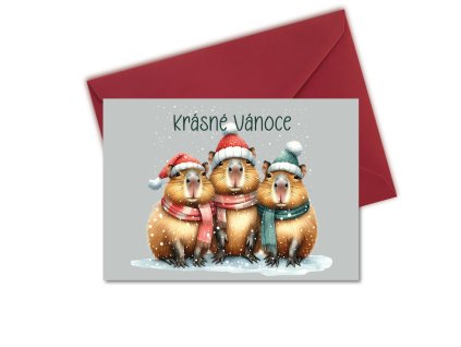 prani kapybara vanocni 1