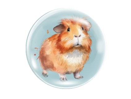 magnet na lednici morče