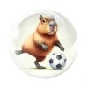 magnet na lednici kapybara fotbalista