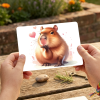 pohled z tábora kapybara pusa