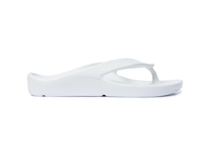 Shark Bianco