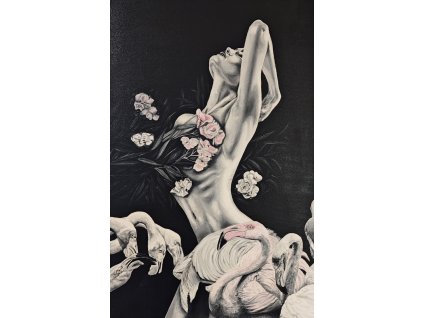 Dáma s plaměňáky