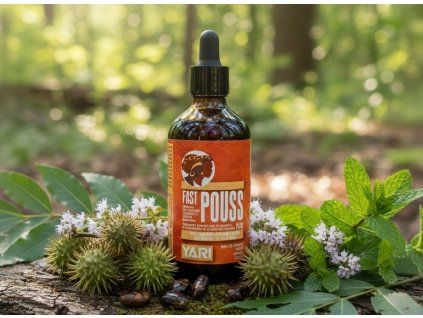 pixelcut export (3)out