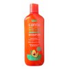 Shampoo Avoca 1