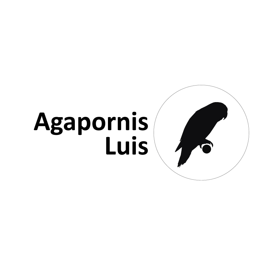 Agapornis Luis
