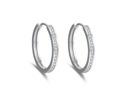 13523 13523 elegantni kruhove nausnice se zirkony aguc2270 prumer 25 mm 4 50 g