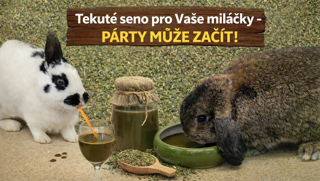 Soutěž| Agave-pjz.cz