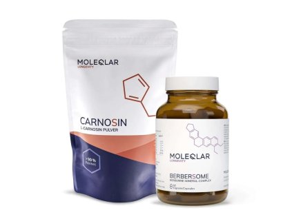 sugar bundle carnosin berbersome