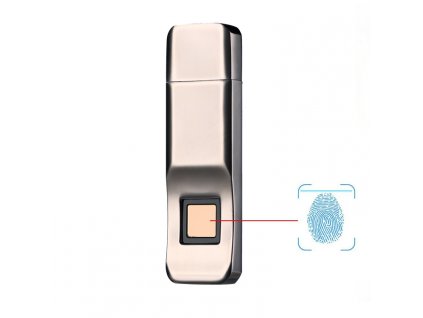 Anytek P1 Fingerprint Recognize 32GB USB Disk