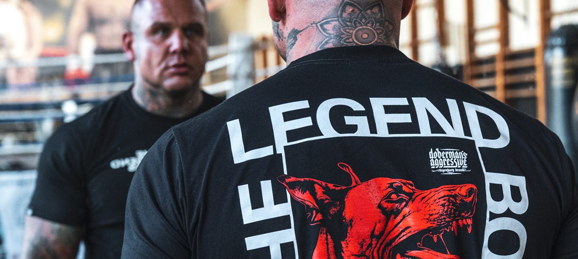 Dobermans aggressive - Banner 1