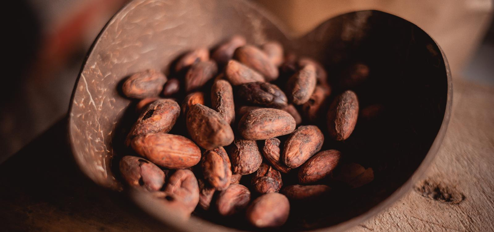 Ceremoniální kakao