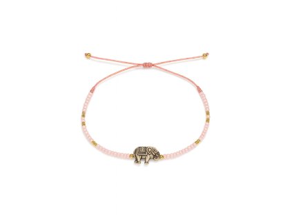 0CA71E51 7AF1 4659 B59B B22BD696423C