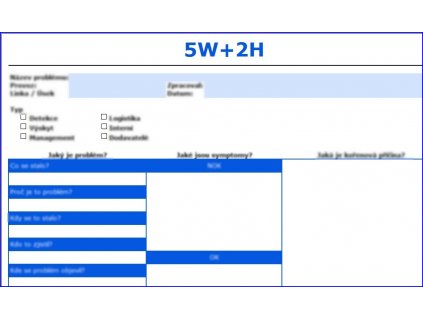 5W+2H