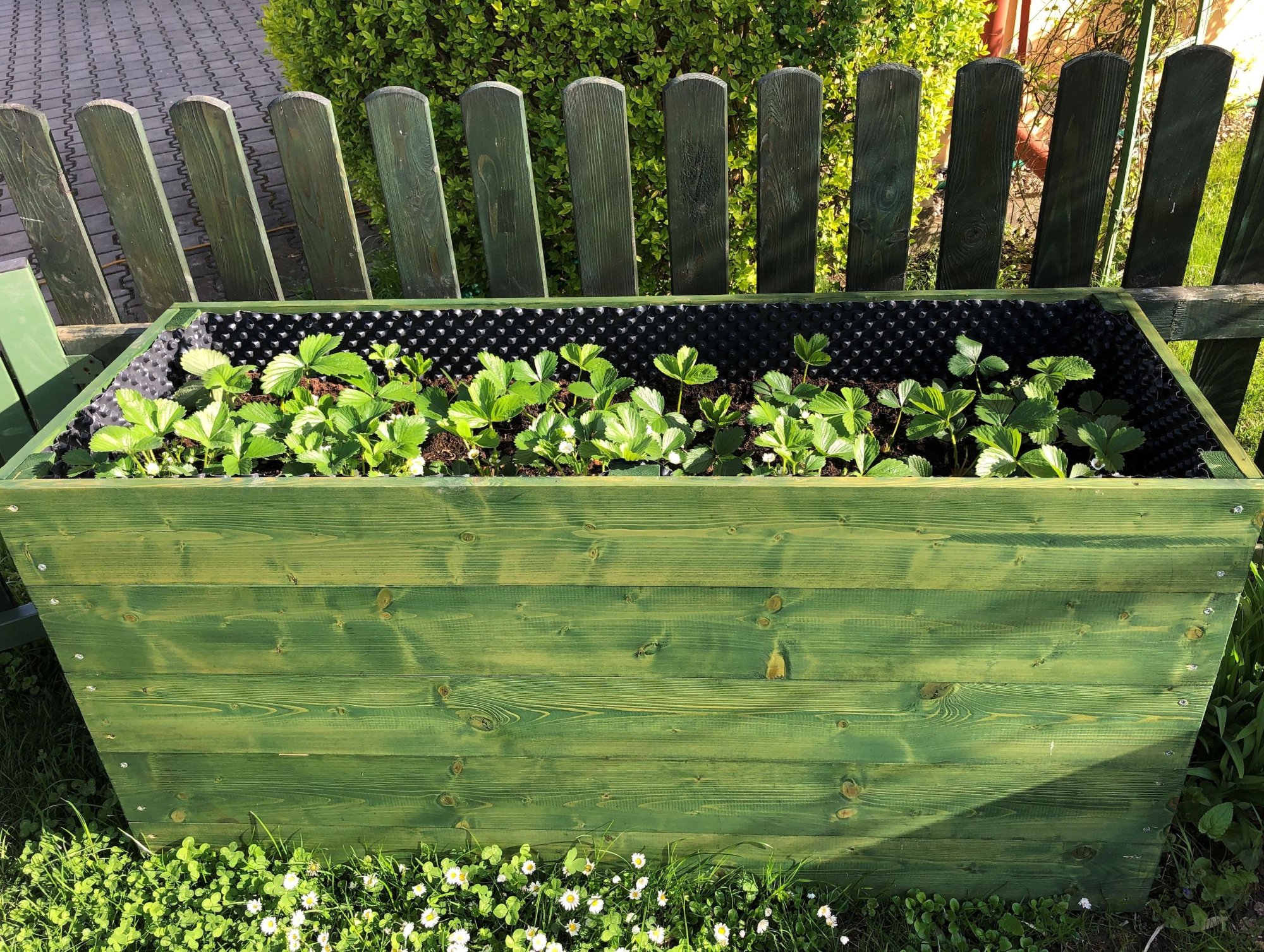 Návod: jak si postavit svépomocí vysoký záhon? Snadno