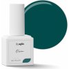 VISION barevný gel lak na nehty AGLIA