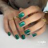BONNIE Cat Eye Magnetischer Gel-Lack AGLIA