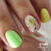 SUNNY Farbiger Gel-Lack